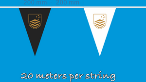 Elevate Graduation Celebrations with Custom Bunting Flags